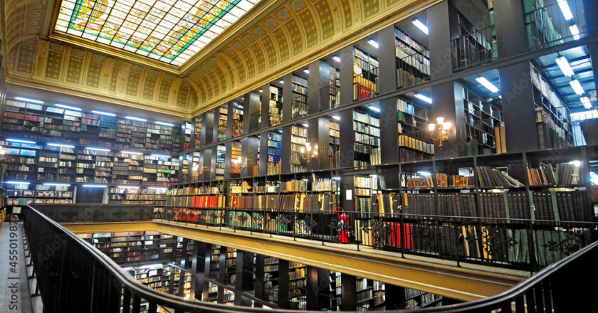 4 Maiores Bibliotecas do Centro do Rio de Janeiro