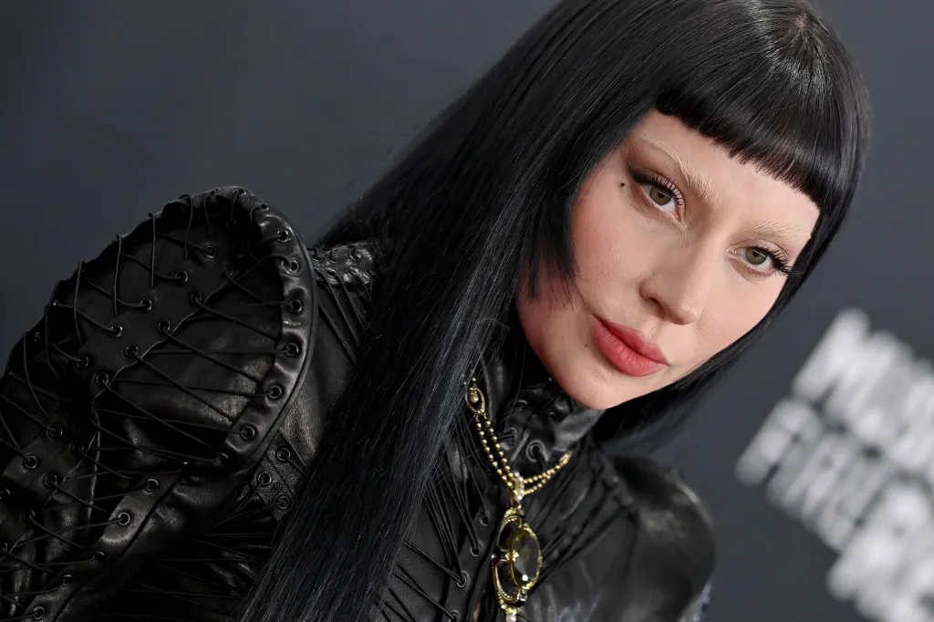 'Avião da Lady Gaga': fãs acompanham suposto voo da cantora