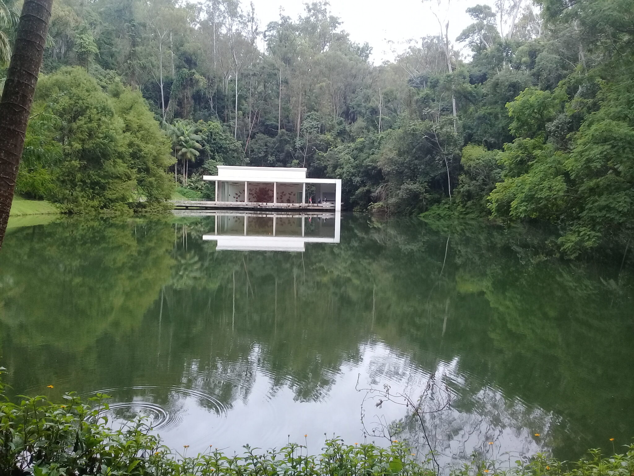 Conheça o Instituto Inhotim, em Brumadinho, Minas Gerais