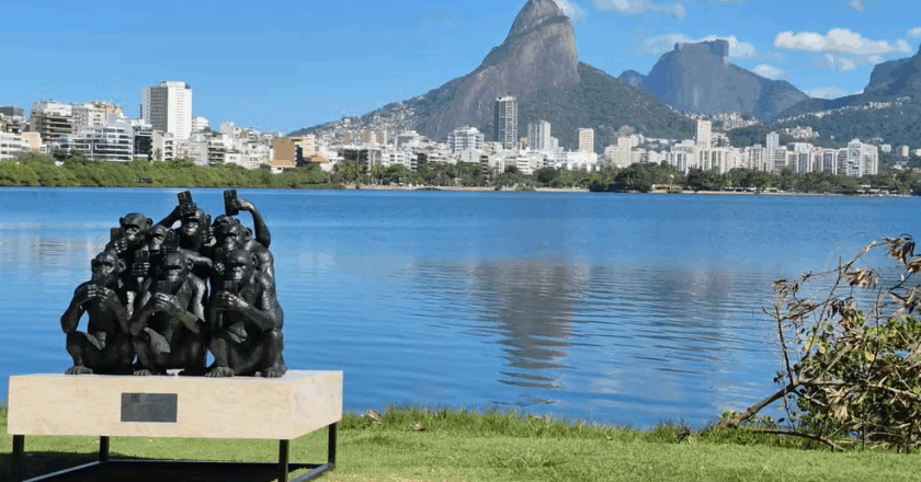 ‘Primórdios digitais’: veja onde estão os macacos hiperconectados nas ruas do Rio