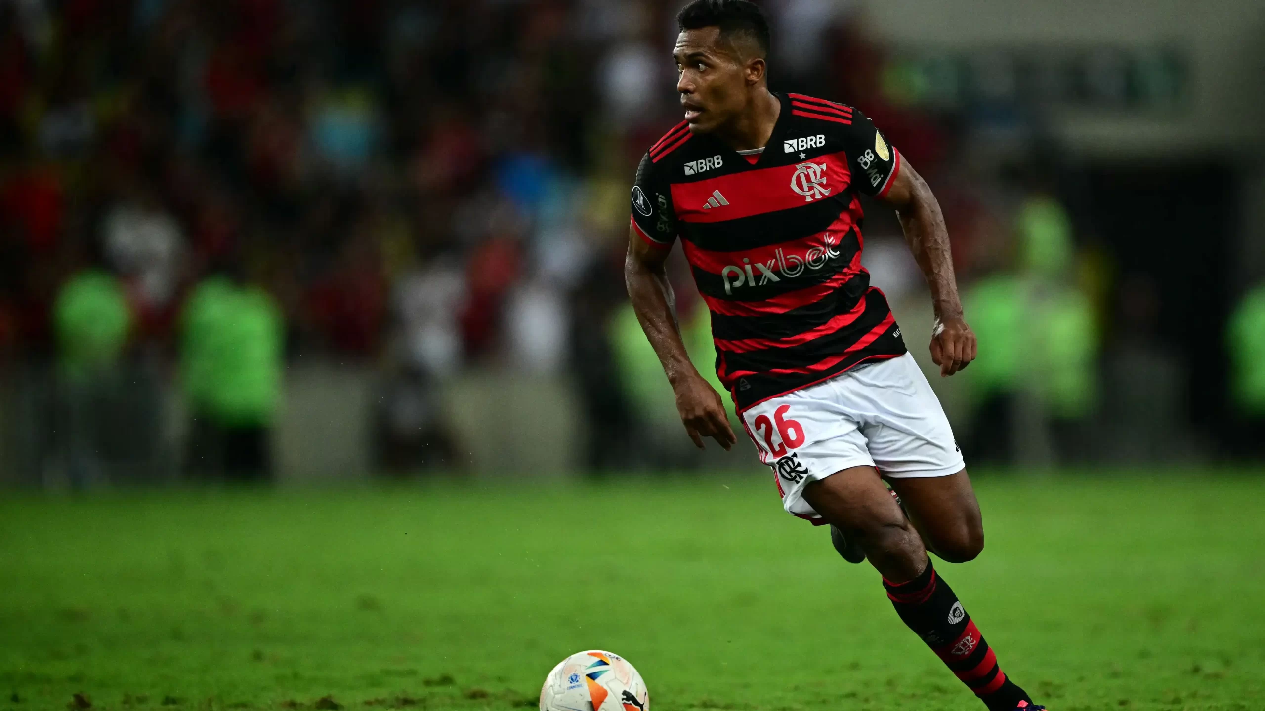 onde assistir flamengo x botafogo