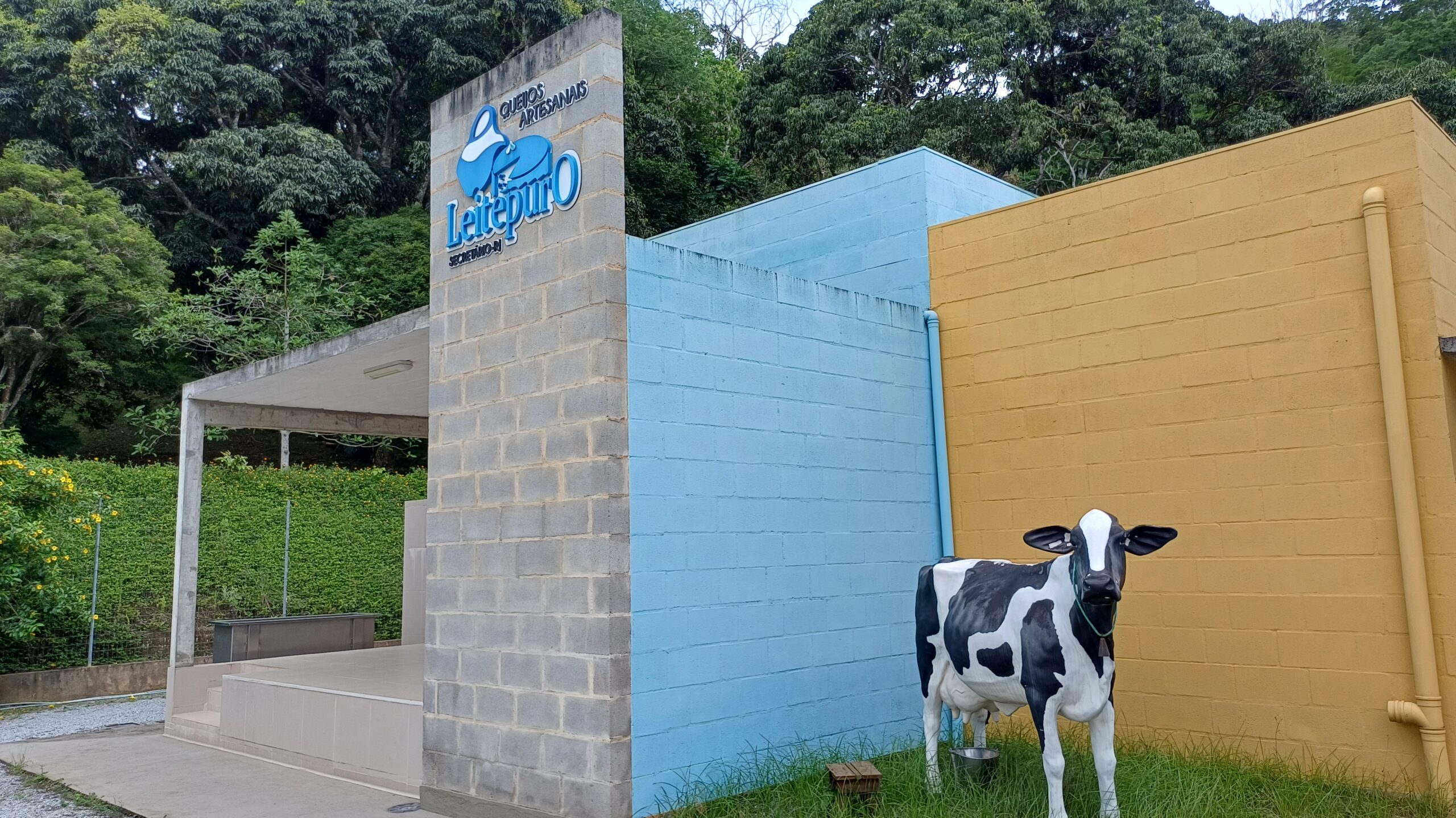 Tudo sobre a Queijaria Leite Puro em Petrópolis: roteiro imperdível na Serra