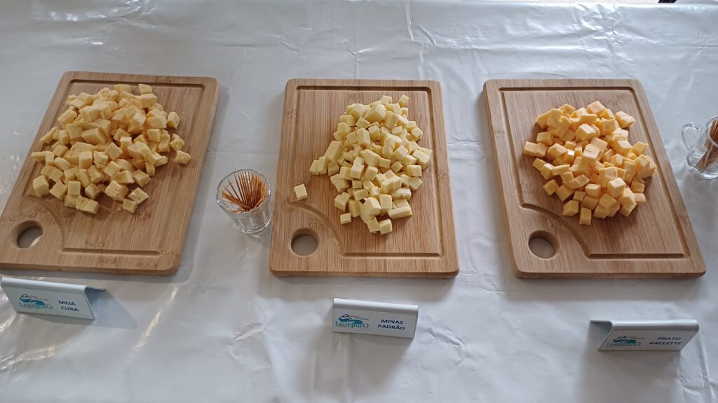 queijos na queijaria leite puro