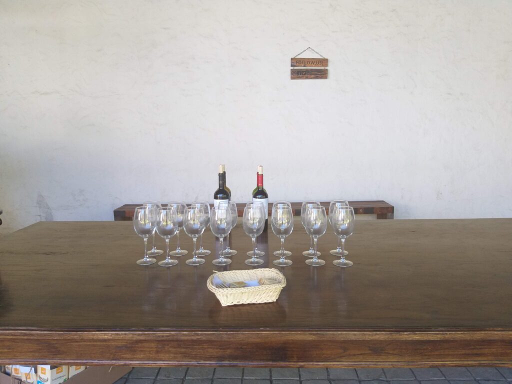 Vinícola Undurraga degustação