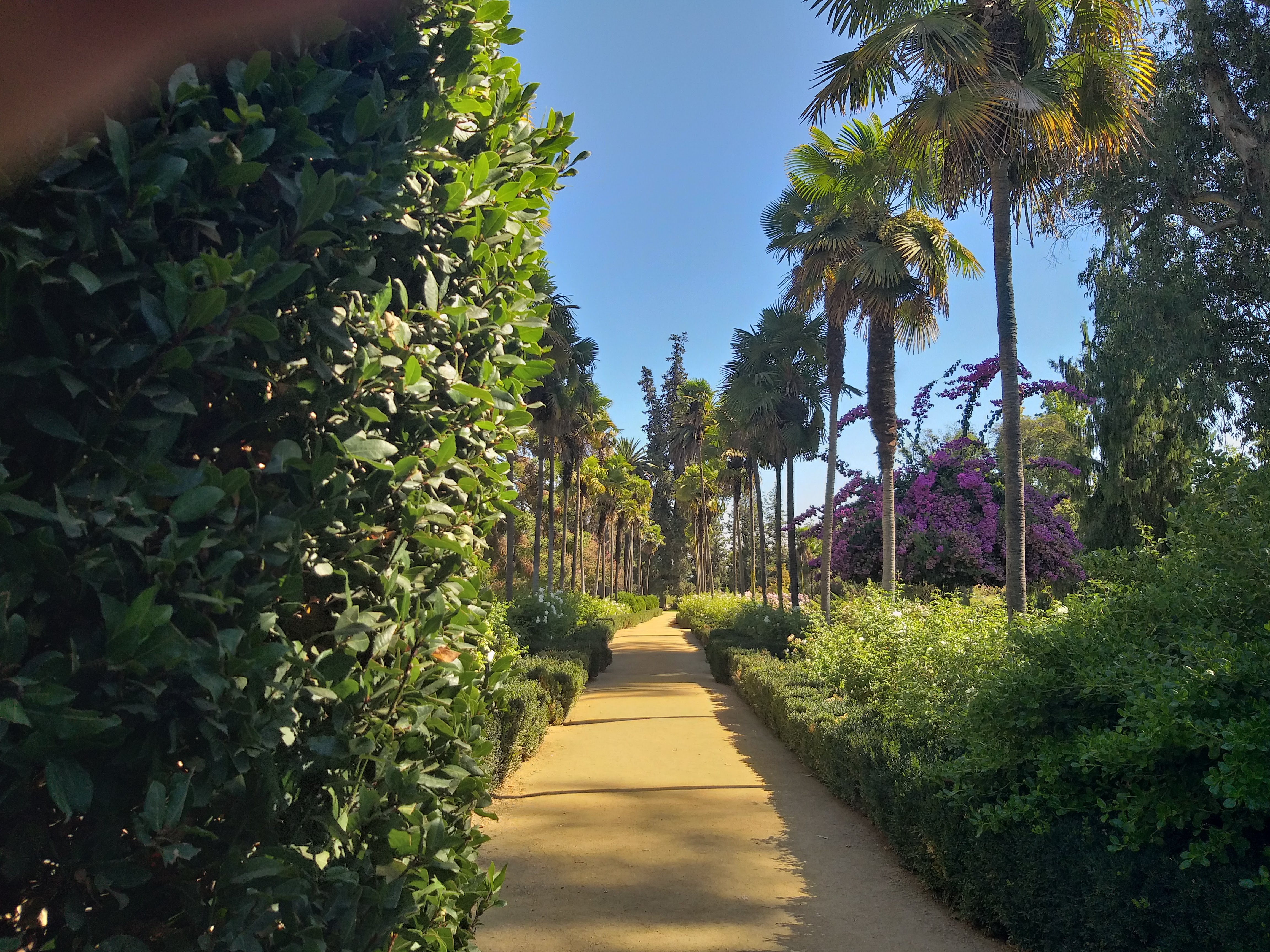 entrada da vinicola undurraga