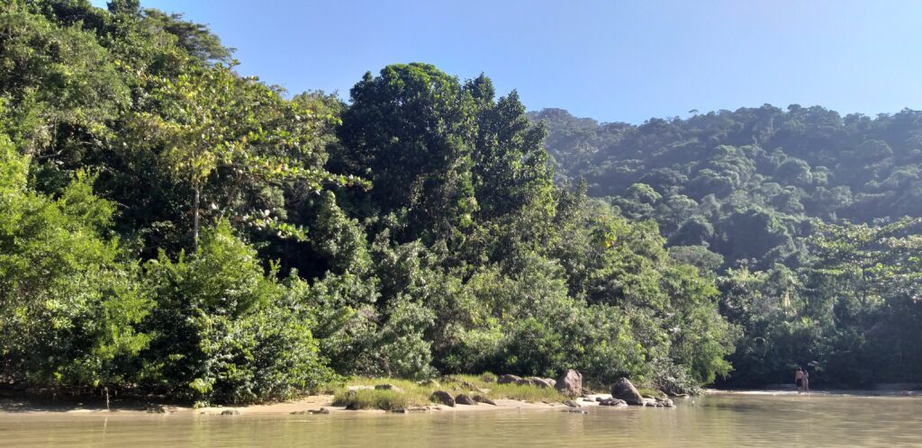 Praia do Meio em Trindade características