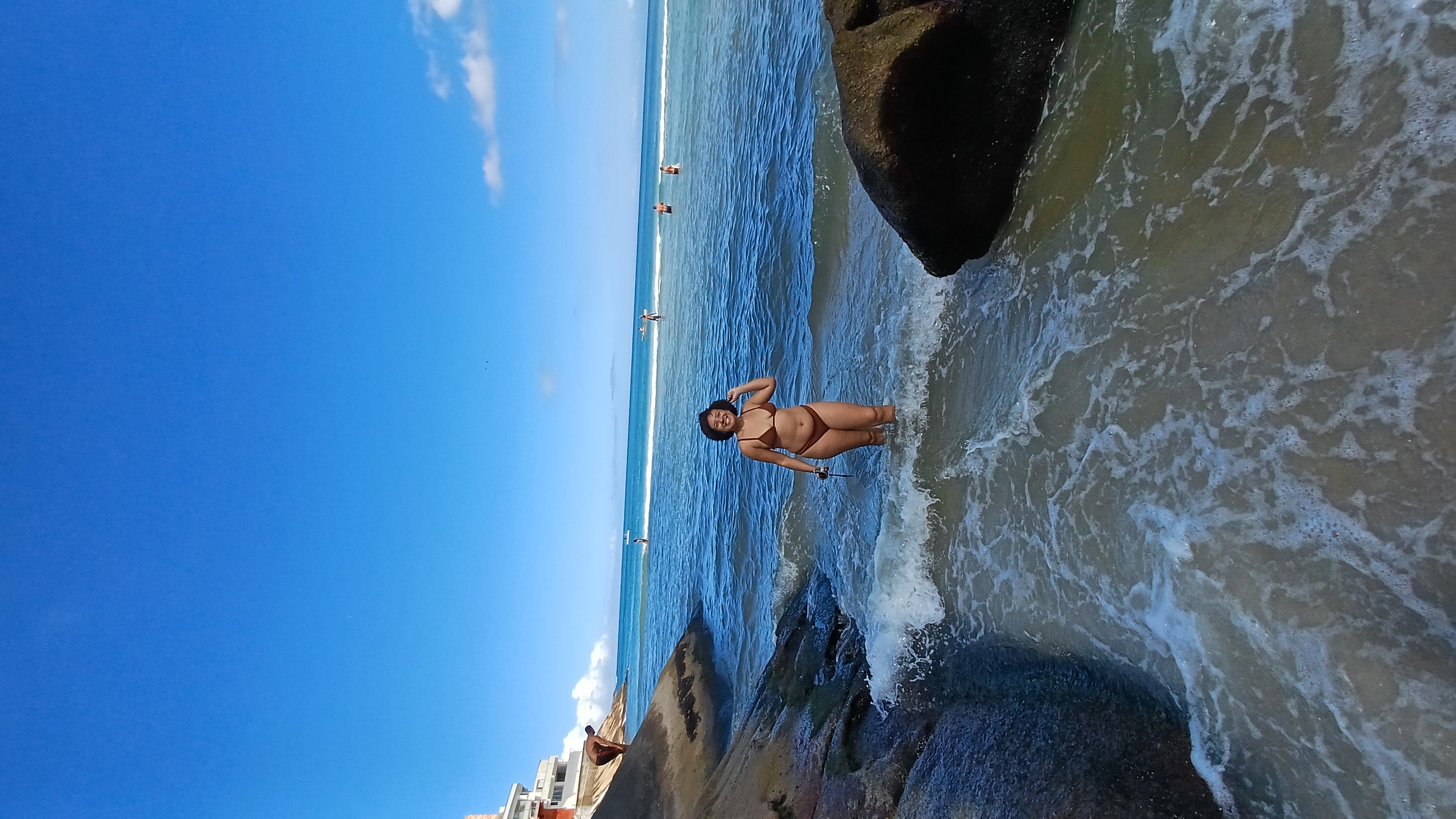 praia restinga de marambaia