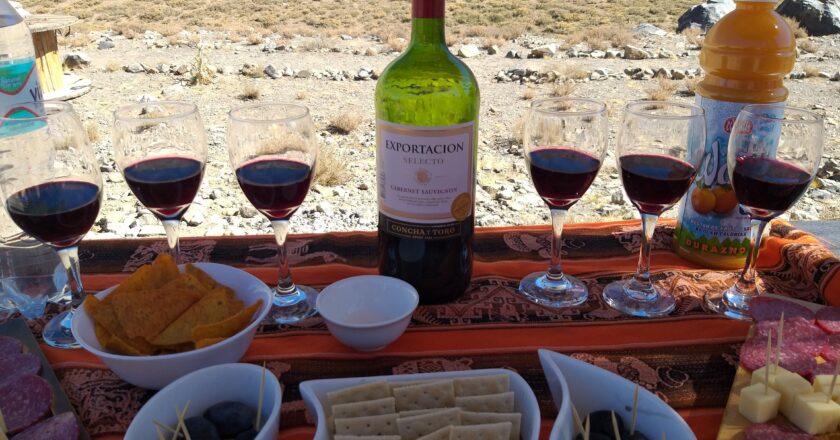 Quanto custa visitar uma Vinícola no Chile? Preços atualizados e minha experiência na Undurraga