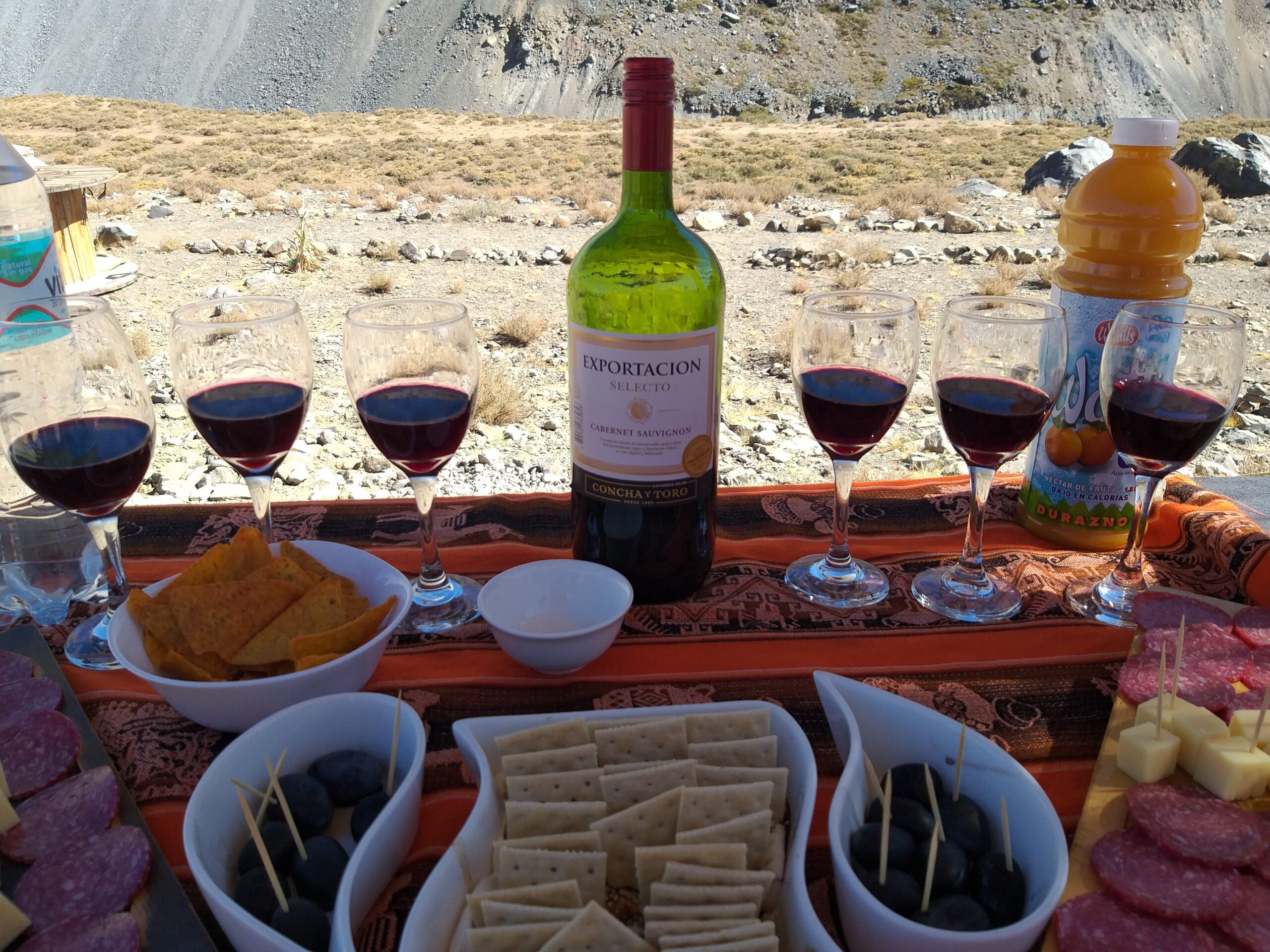 Quanto custa visitar uma Vinícola no Chile Preços atualizados e minha experiência na Undurraga