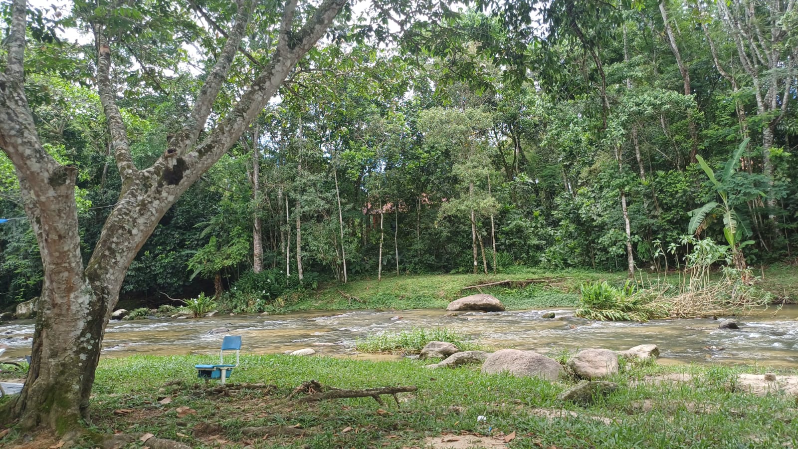 Como chegar no Sana sem perrengue: guia completo