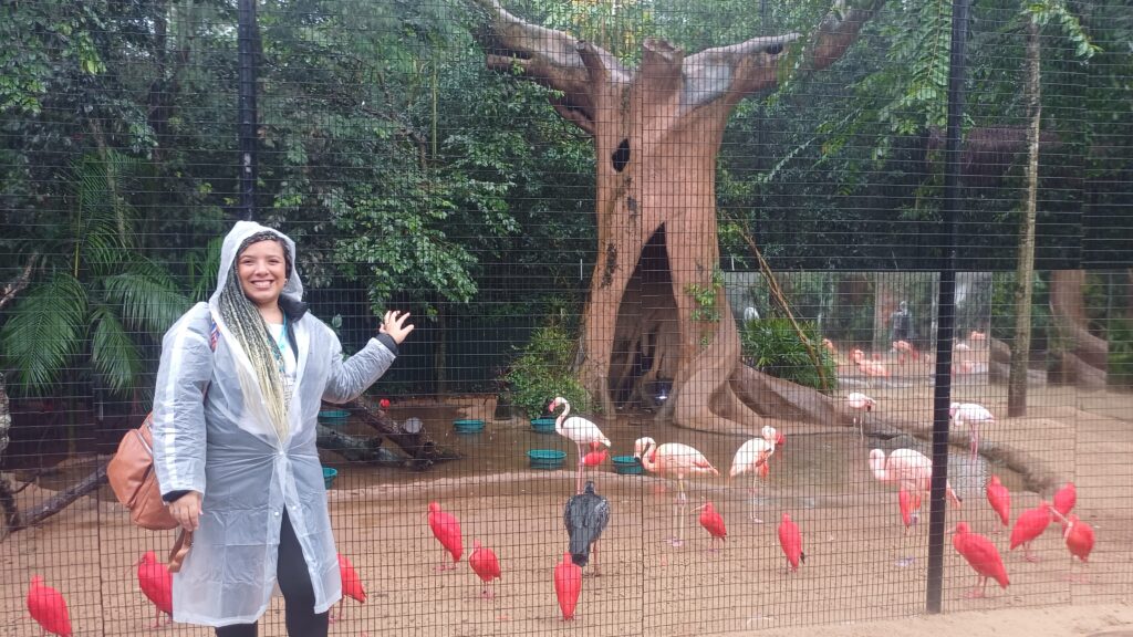O Parque das Aves fica perto das Cataratas do Iguaçu?