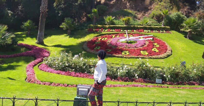 Passeio para Valparaíso e Viña del Mar saindo de Santiago: vale a pena?